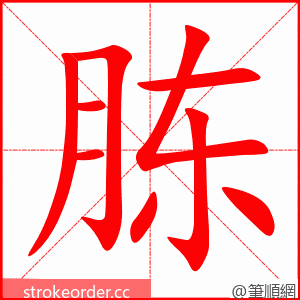 胨 的笔顺动画顺序