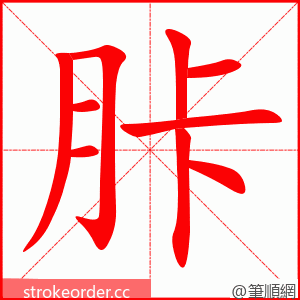 胩 的笔顺动画顺序