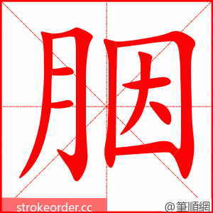 胭 的笔顺动画顺序