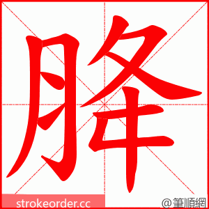 胮 的笔顺动画顺序