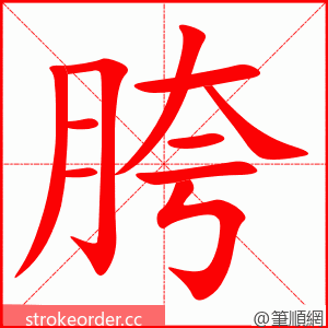 胯 的笔顺动画顺序