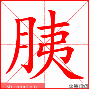 胰 的笔顺动画顺序