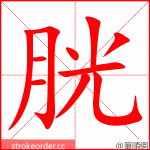 胱 的笔顺动画顺序