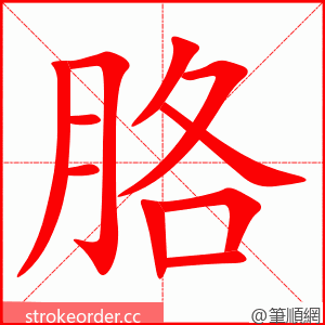stroke order animation of 胳