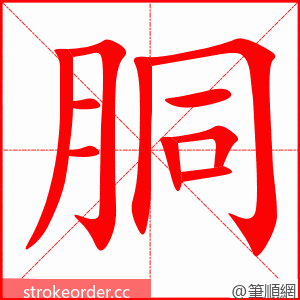 stroke order animation of 胴