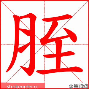 胵 的笔顺动画顺序