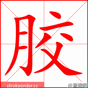 stroke order animation of 胶