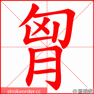 胷 的笔顺动画顺序