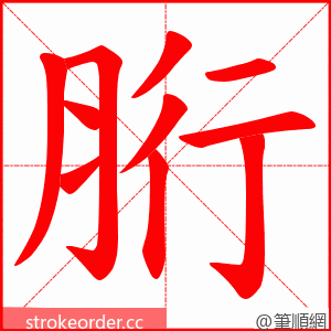 胻 的笔顺动画顺序