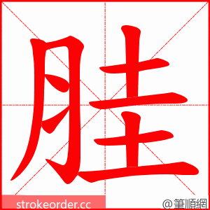 胿 的笔顺动画顺序