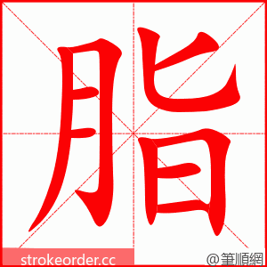 脂 的笔顺动画顺序