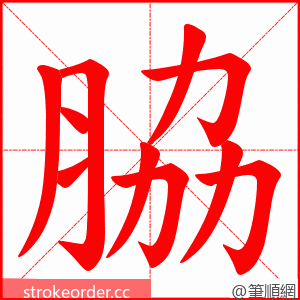 脇 的笔顺动画顺序