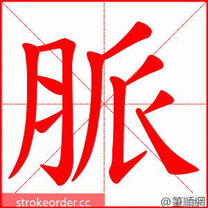 脈 的笔顺动画顺序