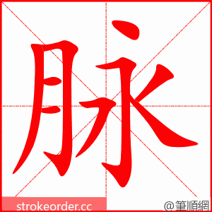 脉 的笔顺动画顺序