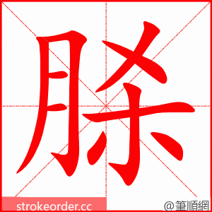 脎 的笔顺动画顺序