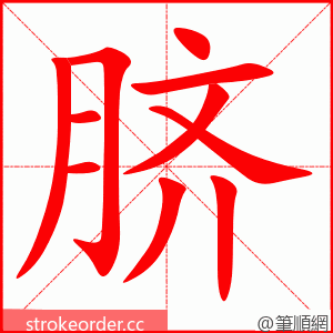 脐 的笔顺动画顺序