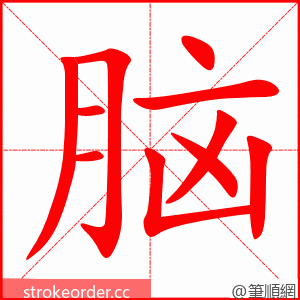 脑 的笔顺动画顺序