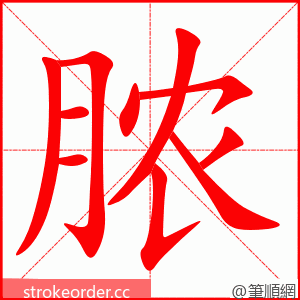 脓 的笔顺动画顺序