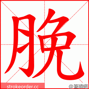 脕 的笔顺动画顺序