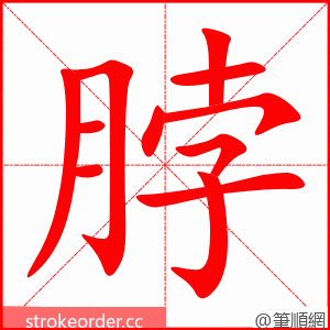 stroke order animation of 脖