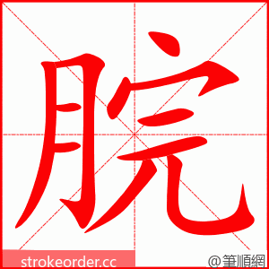脘 的笔顺动画顺序