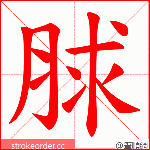 脙 的笔顺动画顺序