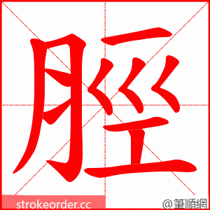 脛 的笔顺动画顺序