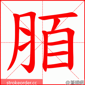 脜 的笔顺动画顺序