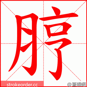 脝 的笔顺动画顺序