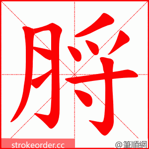 脟 的笔顺动画顺序