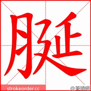 脠 的笔顺动画顺序