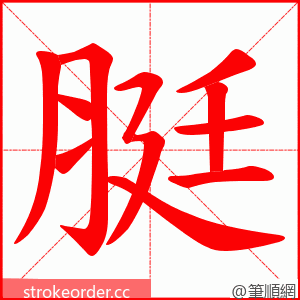 脡 的笔顺动画顺序