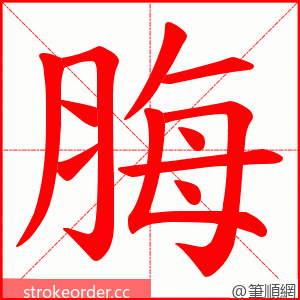 脢 的笔顺动画顺序