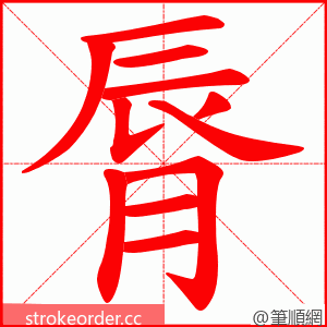 脣 的笔顺动画顺序