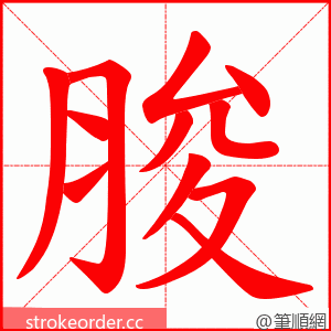 脧 的笔顺动画顺序