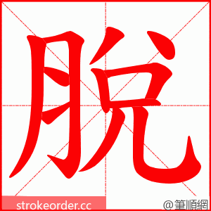 脫 的笔顺动画顺序