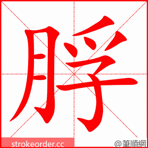 脬 的笔顺动画顺序