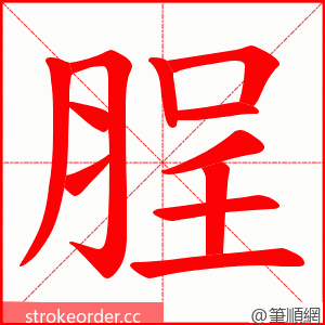 脭 的笔顺动画顺序