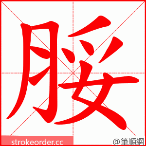 脮 的笔顺动画顺序