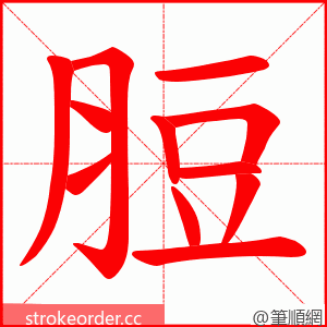 脰 的笔顺动画顺序