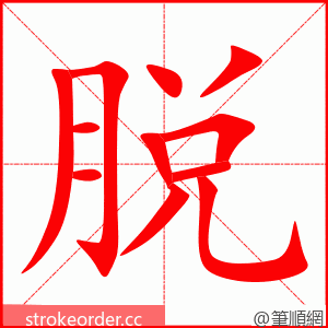 脱 的笔顺动画顺序