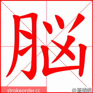 脳 的笔顺动画顺序