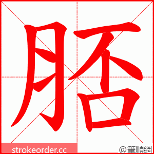 脴 的笔顺动画顺序