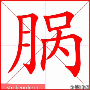 脶 的笔顺动画顺序