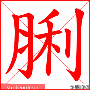 脷 的笔顺动画顺序