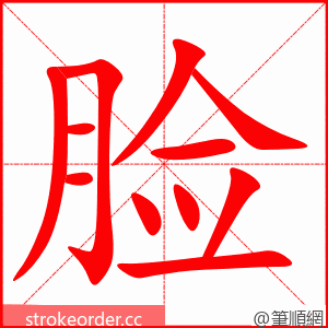 脸 的笔顺动画顺序