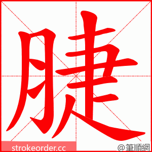 脻 的笔顺动画顺序