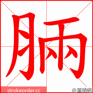 脼 的笔顺动画顺序