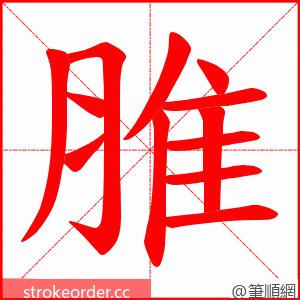 脽 的笔顺动画顺序