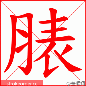 脿 的笔顺动画顺序